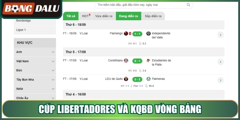 Cúp libertadores và kqbđ vòng bảng