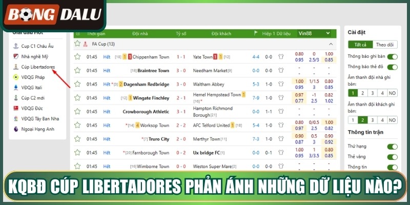 Kqbđ cúp libertadores phản ánh những dữ liệu nào?