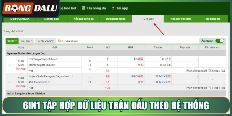 6in1 tập hợp dữ liệu trận đấu theo hệ thống