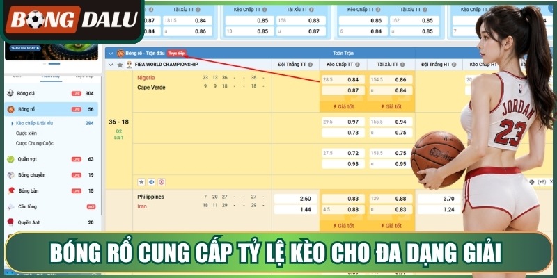 Bóng rổ cung cấp tỷ lệ kèo cho đa dạng giải