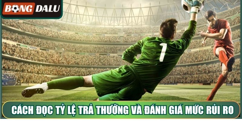 Cách đọc tỷ lệ trả thưởng và đánh giá mức rủi ro thực tế