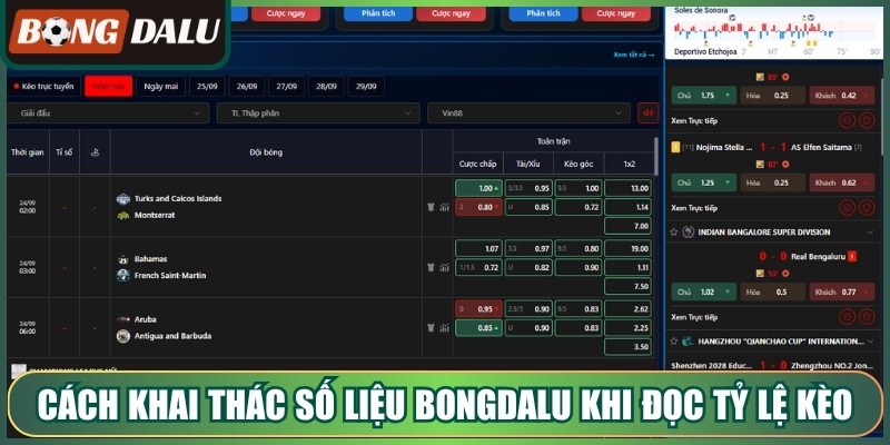 Cách khai thác số liệu Bongdalu khi đọc tỷ lệ kèo