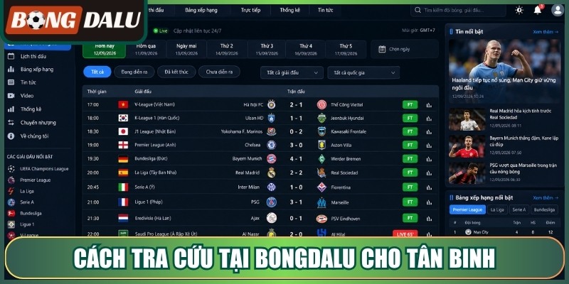Cách tra cứu tại bongdalu cho tân binh