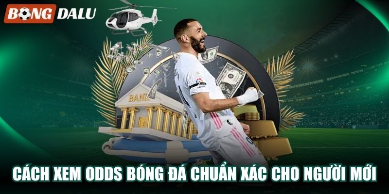 Cách Xem Odds Bóng Đá