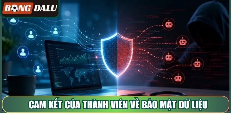 Cam kết của thành viên về bảo mật dữ liệu