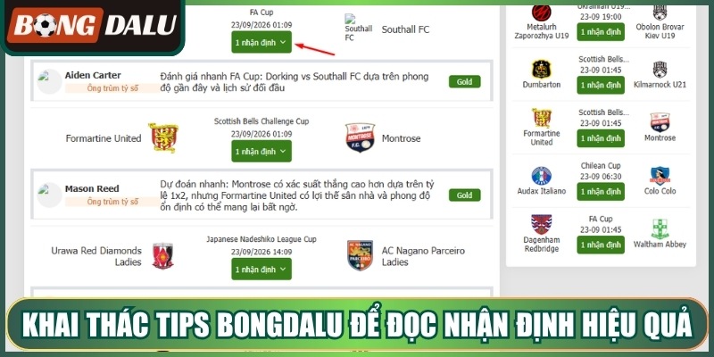 Khai thác tips bongdalu để đọc nhận định hiệu quả