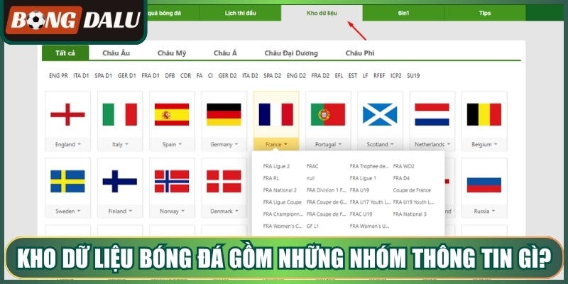 Kho dữ liệu bóng đá gồm những nhóm thông tin gì?