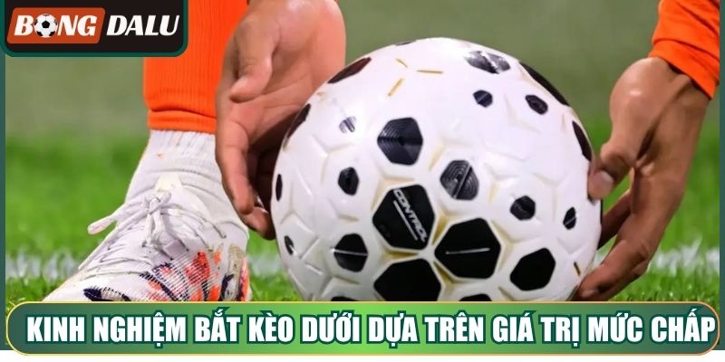 Kinh nghiệm bắt kèo dưới dựa trên giá trị mức chấp