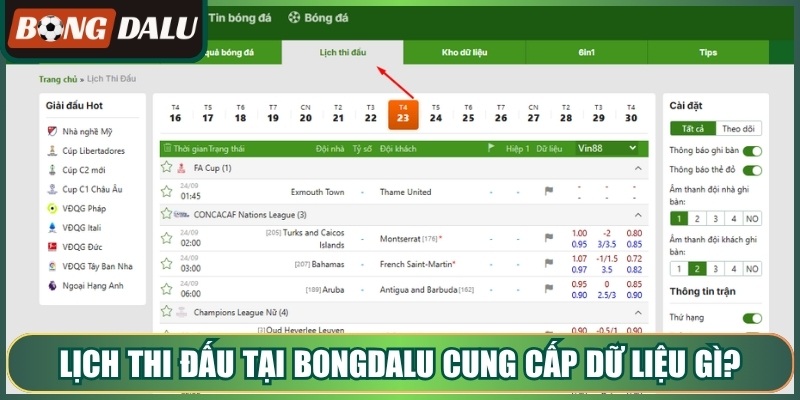 Lịch thi đấu tại bongdalu cung cấp dữ liệu gì?