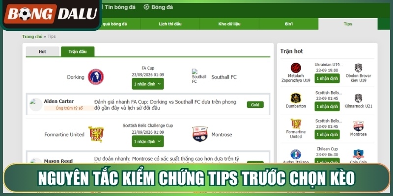 Nguyên tắc kiểm chứng tips trước chọn kèo