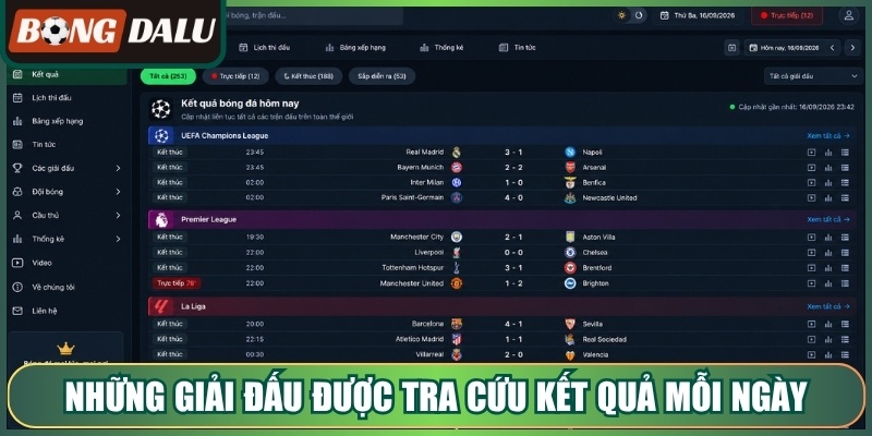 Những giải đấu được tra cứu kết quả mỗi ngày