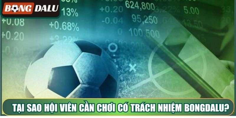 Tại sao hội viên cần chơi có trách nhiệm Bongdalu?