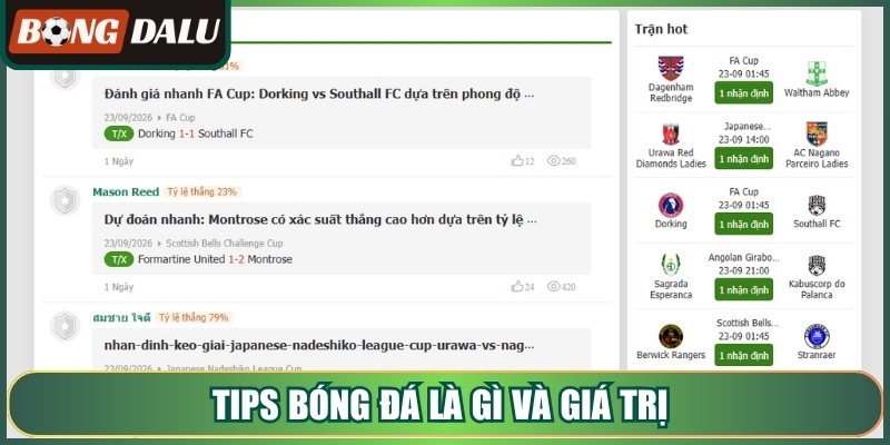 Tips bóng đá là gì và giá trị